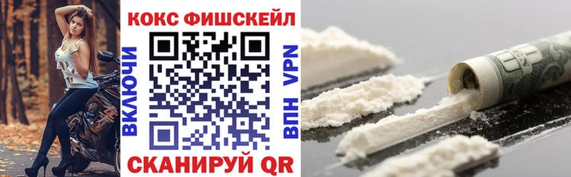 Cocaine FishScale  наркошоп  Новая Усмань 