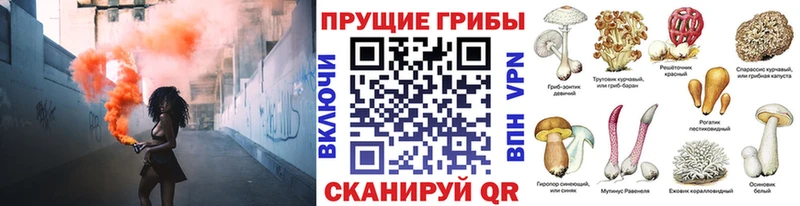 Галлюциногенные грибы Cubensis  Новая Усмань 